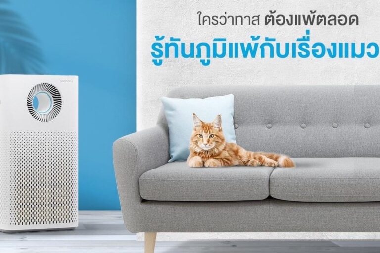 อากาศสะอาด ลดมลพิษ ภูมิแพ้ PM2.5 ได้หมด ข้อมูลเพิ่มเติม โคเวย์ อุดรธานี 042246642