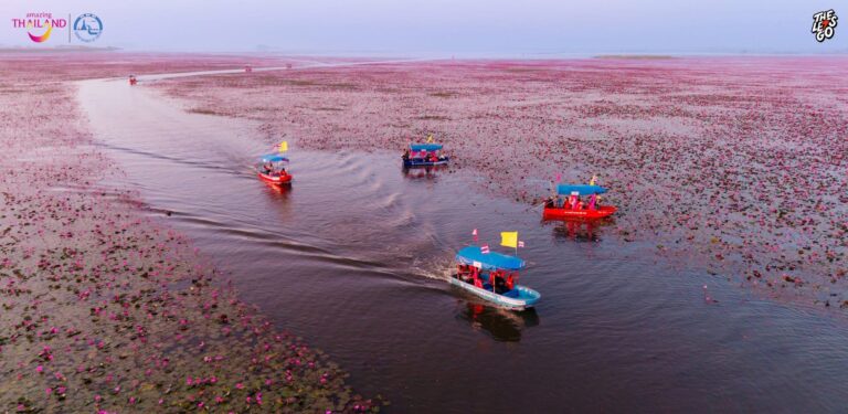 Amazing Thailand x Lisa ทะเลบัวแดง จุดกระแส ‘เที่ยวอุดร